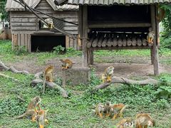 -上海野生动物园