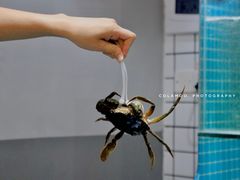 -三妹小龙虾·黄油蟹(华侨城总店)