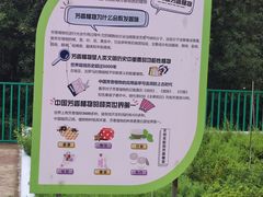 -黄兴公园