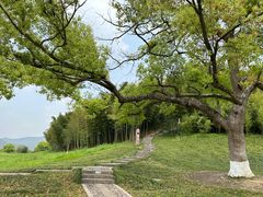 -良渚古城遗址公园