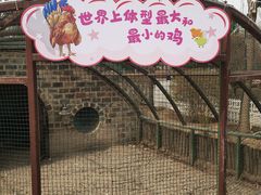 -南宫五洲植物乐园