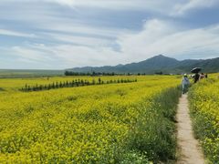 -扁都口生态休闲旅游区