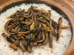鳝丝焗饭-万年酒楼(越秀南路店)