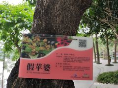 -顺峰山公园