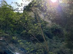 -秦岭终南山世界地质公园翠华山景区