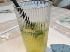-吉丁鸟咖·异宠·寄养