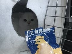 -瑞派宠物医院·24h·骨外科·皮肤科·全科宠物医疗转诊中心(沈阳浑南院)