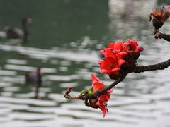 -东山湖公园