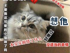 -守诺宠物医院·眼科· 特色牙科·异宠专科(虹口店)
