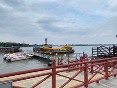 -溱湖国家湿地公园