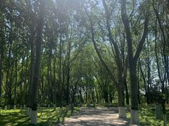 -大兴滨河森林公园