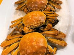 -阳江餐厅·30年老字号·粤菜海鲜大排档