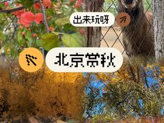 -Catail前苑(前门大街店)