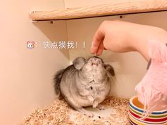 -龙猫仔乐园(惠福东路店)