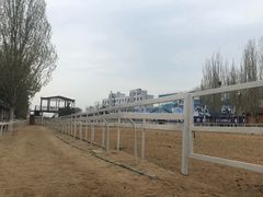 -大连凯洋马术俱乐部有限公司