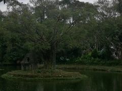 -深圳野生动物园