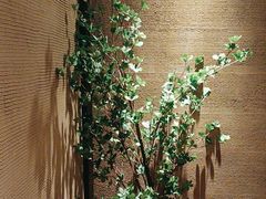 -千代武日本料理(爱建店)