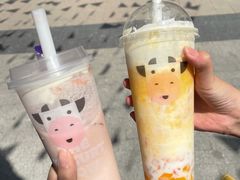 -一只酸奶牛(八一路店)