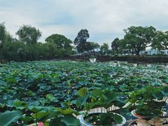 -无锡蠡湖国家湿地公园-蠡园
