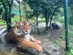-栾川竹海野生动物园
