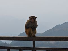 -重庆云阳龙缸景区