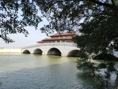 -大湾区中央湿地公园