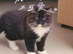 -博特宠物医院24h犬猫全科.骨科·异宠