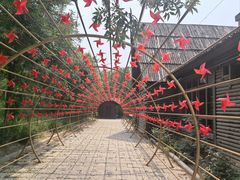 -西青郊野公园