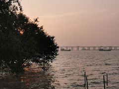 -宝安西湾红树林湿地公园