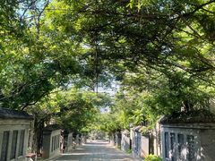 -北京十三陵国家森林公园蟒山景区