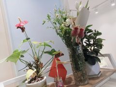 -Tomado绿色烘焙(大尧三路店)