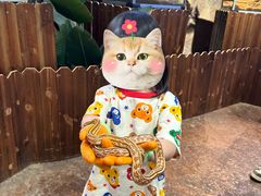 -杭州开元森泊度假乐园