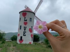 -大连铭湖国际观光牧场