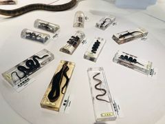 -漩门湾国家湿地公园