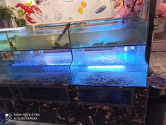 水产区-特色酱椒鱼私房菜(黄鹤楼店)
