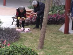 -宏善康享苑颐养中心