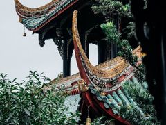 -望江楼公园