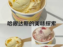 -哈根达斯(城西银泰店)