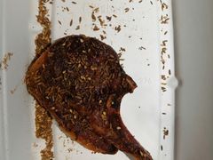 -盒马鲜生(大成店)