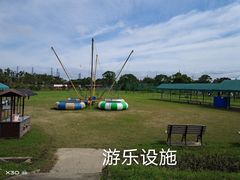 景点-上海长兴岛郊野公园