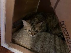 -H立方实景剧情密室(天河旗舰店)