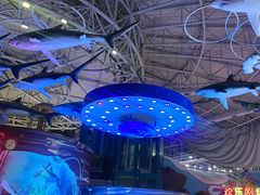 -烟台海昌鲸鲨海洋公园