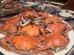-连鹭海鲜·海肠捞饭·海胆饭(星海店)