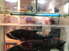 水产区-正宗波记潮州砂锅粥(新洲一街店)