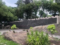 -船政文化景区-罗星塔公园