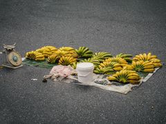 -潮州西湖