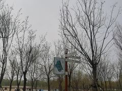 -东郊湿地公园