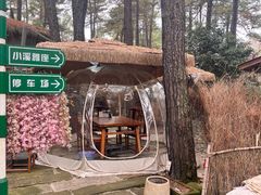 -小小饭店·休闲农庄·安吉松树林里的农家菜