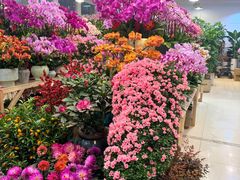 -双季花艺园艺市场(浦东店)