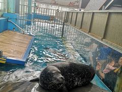 -成都浩海立方海洋公园